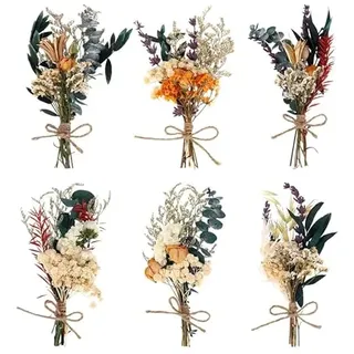 RosewineC 6 Bündel Mini Trockenblumenstrauß Klein Trockenblumen zum Basteln Getrocknete Blumen Natürliche Getrocknete Blumenstrauss Dried Flowers Small für Bilderrahmen DIY Handwerk(ca.15-17cm)
