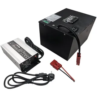 TZIpower LiFePO4 48V 60V 72V 50Ah 60Ah 80Ah 100Ah E-Bike Akku Roller Scooter PV Akkupacks, Metall Case