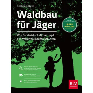 Waldbau für Jäger – Wie Forstwirtschaft und Jagd den Wald von morgen schützen
