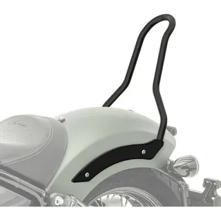 Sissybar Für Indian Chief Bobber / Dark Horse 21-25 Solo Rider Mf2