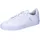 Cloud White / Cloud White / Gold Metallic 46 2/3