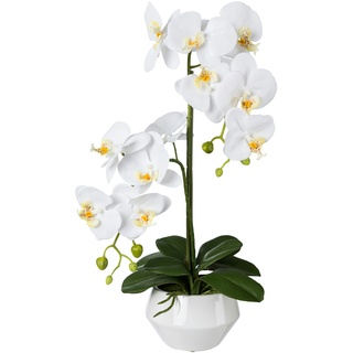 Creativ green künstliche Pflanze Phalaenopsis in Keramiktopf, Höhe 52 cm