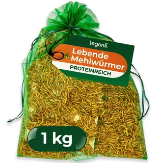 Legona Lebende Mehlwürmer, 1 kg Futterinsekten für Reptilien und Hühner | Lebendfutter aus Tenebrio-molitor-Zucht, für Reptilien, Geflügel, Wildvögel und Fische