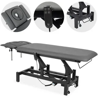 Habys Massageliege Elektrisch mit 4-Segmente, 192x68cm, Grau, Fortis 4 Ergo Elektrische Behandlungsliege Therapieliege mit Fernbedienung, ERGO-Kissen, Halterung Hygienerolle