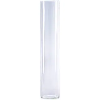 Flachbodenglas 100 x 20 x 1,0 mm