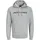 Logo Kapuzenpullover Light Grey Melange 2XL