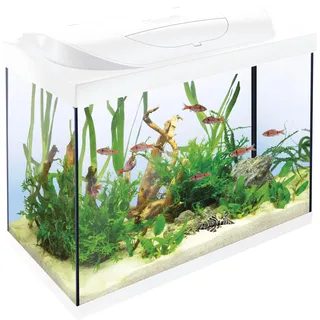 Tetra Starter Line LED Aquarium Weiß,