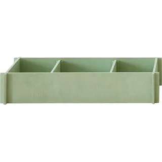 BloomTRAY Schreibtisch-Organizer hellgrün