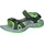 Kinder PIOMBO-CACTUS 29