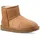 Chestnut 42