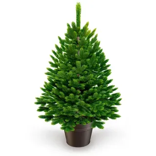 artitree Weihnachtsbaum »Premium Tanne«, im Topf 60 cm - Künstlicher 60cm - Christmas Tree für Innen und Außen, Kunstlich Baum für Weihnachtsdeko, Realistische Optik