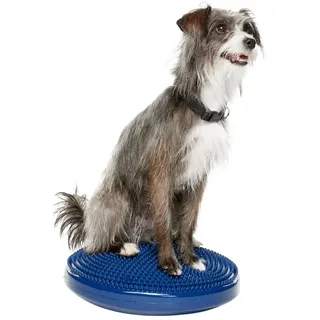 FitPAWS Balance Disc 35cm