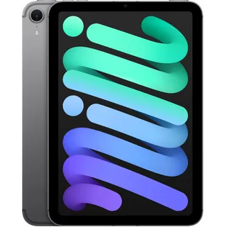 512 GB Wi-Fi + Cellular Space Grau