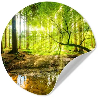 MuchoWow Wandsticker Wald - Landschaft - Wasser - Bäume - Sonne - Grün - Natur (1 St), Wanddeko Wohnzimmer Schlafzimmer Wandverkleidung, 50x50 cm bunt 50 cm x 50 cm x 0.1 cm