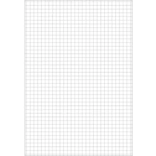 Staufen Briefblock 608741020 DIN A5 70g ECF 50Blatt kariert