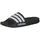 Core Black / Cloud White / Core Black 51