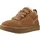 Chestnut 39