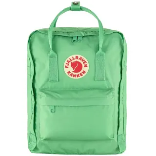 16 l apple mint