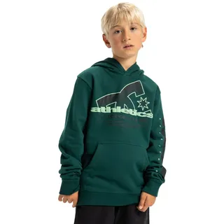 DC Shoes Hoodie "Slathletic", Jungen, Gr. 14(155-164cm), rosa (ponderosa pine), Obermaterial: 55% Walkfrottier, 25% Walkfrottier, 20% Microfaser;, Sweatshirts Hoodie