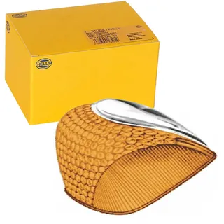 Hella Blinkleuchte 2BA 001 244-001 Hinten/Links