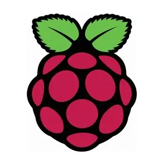 Raspberry Pi 4 5V 3A schwarz