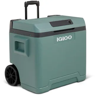 Igloo IE42 42 l