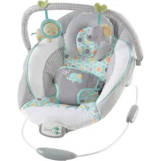 Ingenuity Soothing BouncerTM Morrison