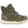 olive 37