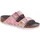 schmal flower field rose 41