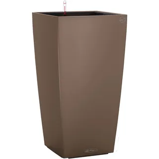 30 Komplettset 30 x 30 x 56 cm muskat