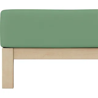 Baumwolle 180 x 200 - 200 x 220 cm green mid