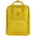 sunflower yellow