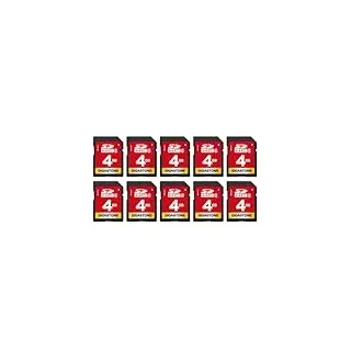GIGASTONE 4GB SD-Karte 10er-Pack, SDHC Class 4 Speicherkarte für Foto, Video, Musik, Sprachaufnahmen, DSLR-Kameras, Camcorder, Recorder, PC, Mac und POS-Systeme (Packung mit 10 Stück)