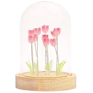 Moses Lichterkuppel Tulpenfeld