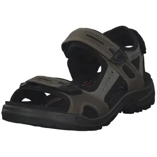 vetiver/wild dove 46