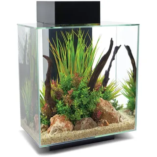 fluval® Edge 2.0 46 l Nanoaquarium schwarz