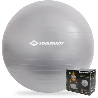 Donic Schildkröt GYMNASTIKBALL 65cm, (silver)