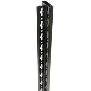 qpool24 MULTIplus T-Profil 2000 mm schwarz, Front gelocht