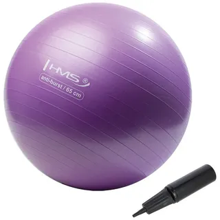 HMS Anti-Burst Gymnastikball 65cm lila (YB02)