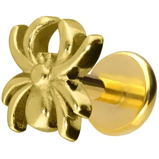 Titan Labret mit Push Fit SPINNE