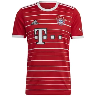 Heimtrikot 2022/2023 Herren M