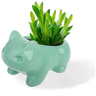 Keramik Frosch Blumentopf,Mini Indoor Kleine Blumentöpfe,Kreative,Cartoon,Froschform,Für Desktop, Küche, Terrasse Heimtextilien (11×7cm)