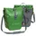 Paar parrot green