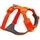 Blaze Orange 2XS