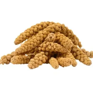 Lyra Pet Kolbenhirse gelb Wellensittiche 5 kg