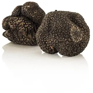 Winter-Edeltrüffel - tuber melanosporum, frisch, Spanien, Nov./März, je 1 Gramm