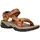 tree cover/sedona 39