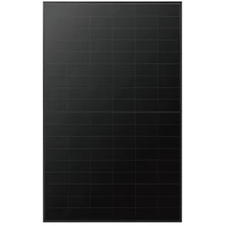 LONGi 'EcoLife X10 Dual Glass Blac '(0% MwSt §12 III UstG)