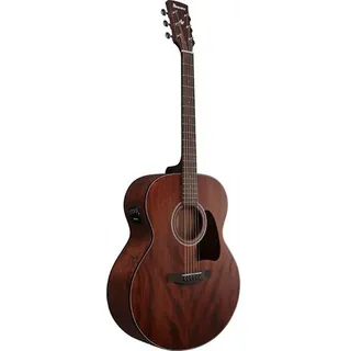 IBANEZ AJ54E-OPN Open Pore Natural - Westerngitarre