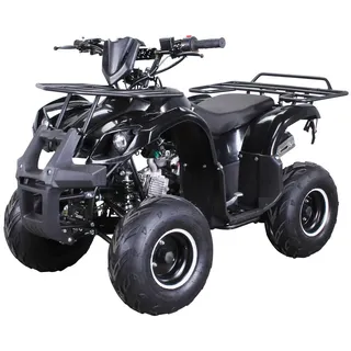ACTIONBIKES MOTORS S-8 Farmer 125 ccm ATV Not-Aus-Leine, Automatik Alarmanlage, Scheibenbremse (Schwarz)